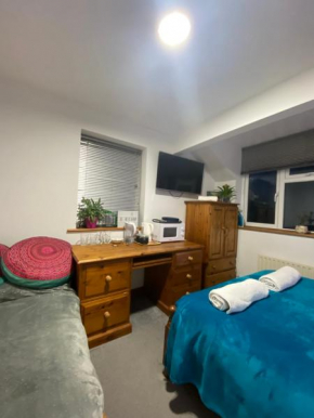 Quiet New Forest attic room den